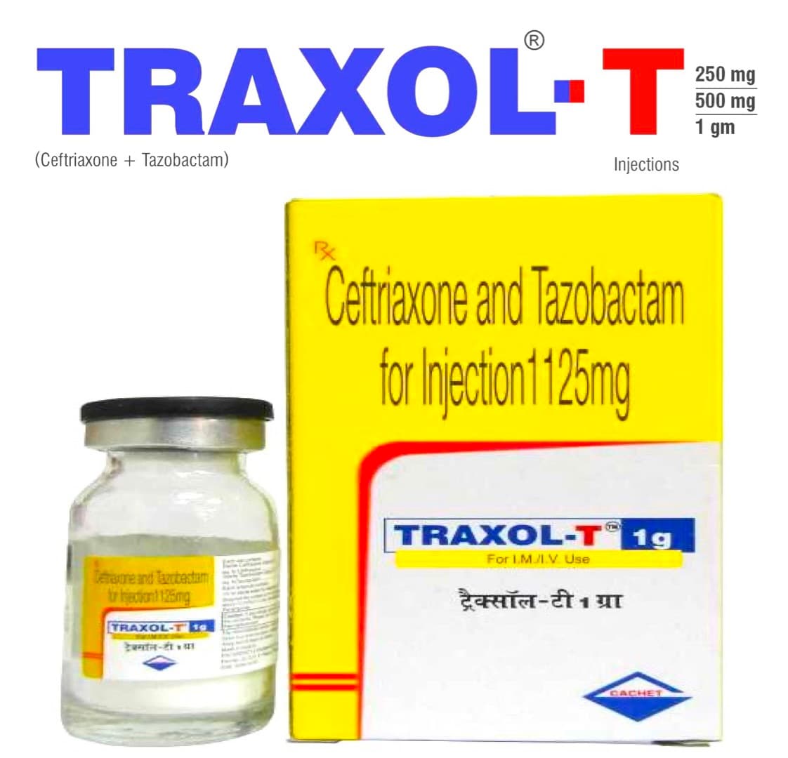 TRAXOL-T 1 GM INJECTION VIAL
