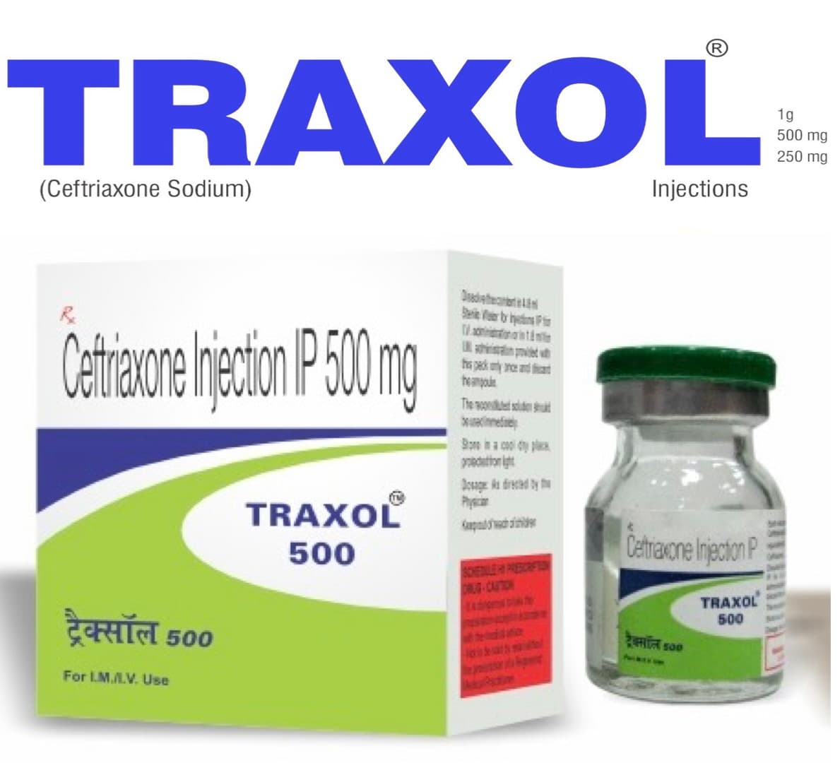 SPID EXPECTORANT 100 ML